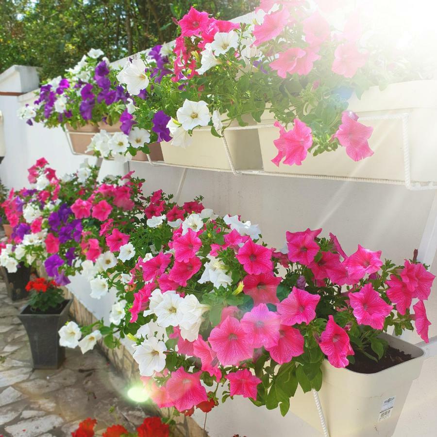 Apartment Bagaric Stari Grad (Hvar)