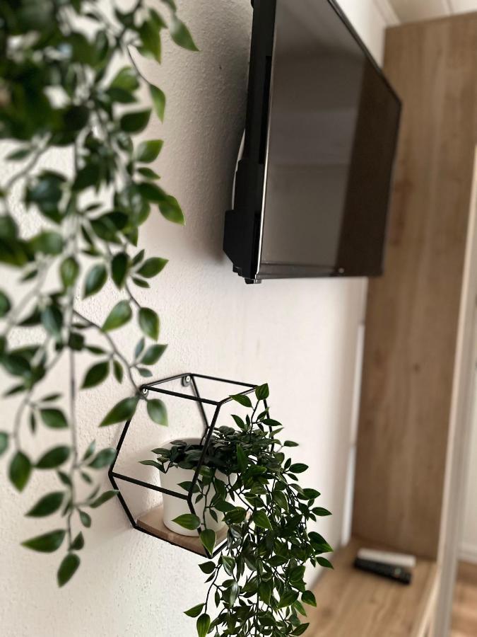 Apartman Bagaric